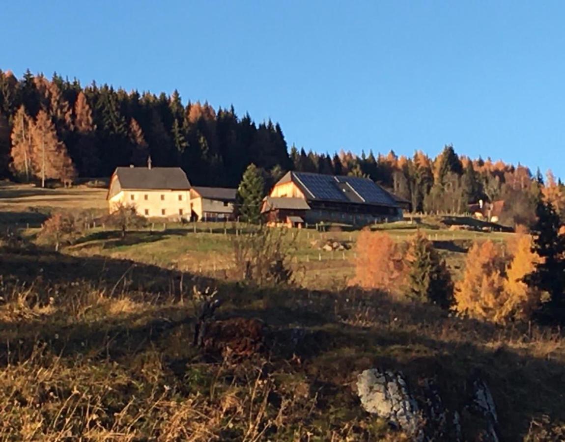 Aparthotel Zum Wohle Oberwoelz Stadt Exteriér fotografie